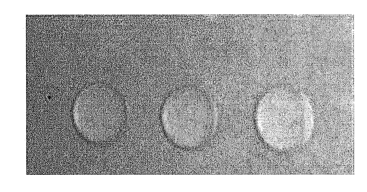 Liquid Crystal Aligning Agent and Liquid Crystal Alignment Layer Formed Using the Same