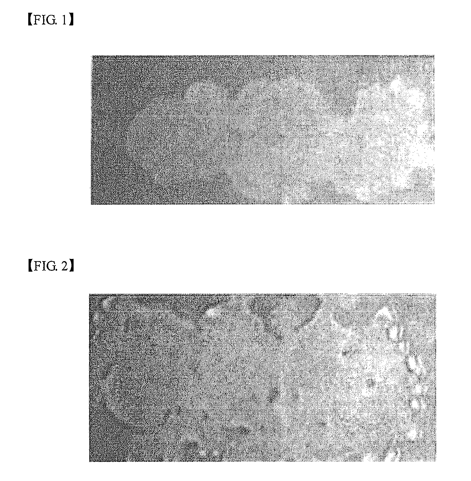 Liquid Crystal Aligning Agent and Liquid Crystal Alignment Layer Formed Using the Same