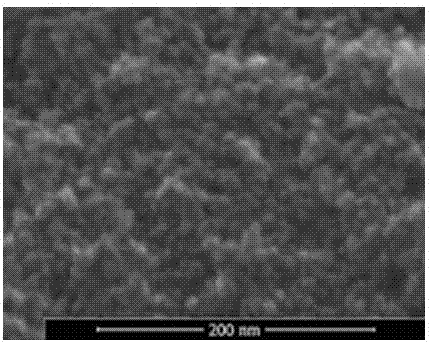 Preparation method of mildew-preventing and freshness-preserving PVA coating film