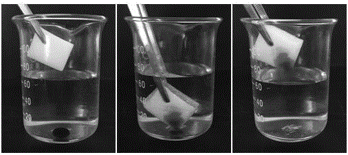 Method for preparing efficiently hydrophobic and oil-absorbing sponge with fluorine-containing silane coupling agent as cross-linking agent