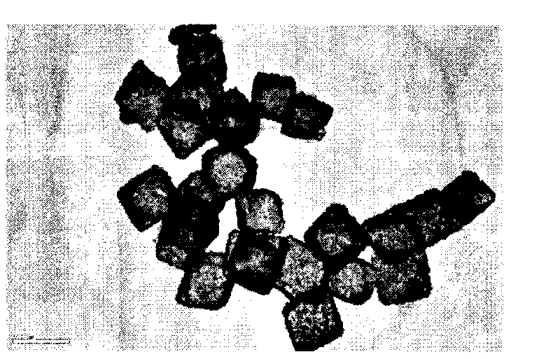 Preparation method of hollow noble metal nanoparticles