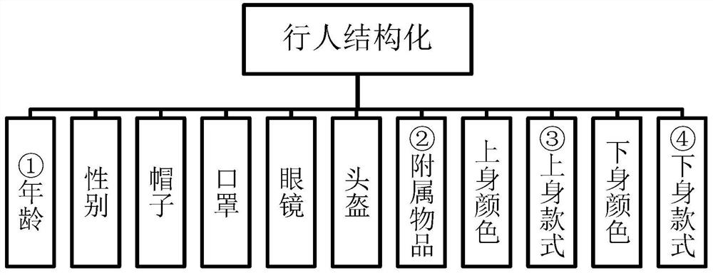 Video structured man-vehicle detection algorithm