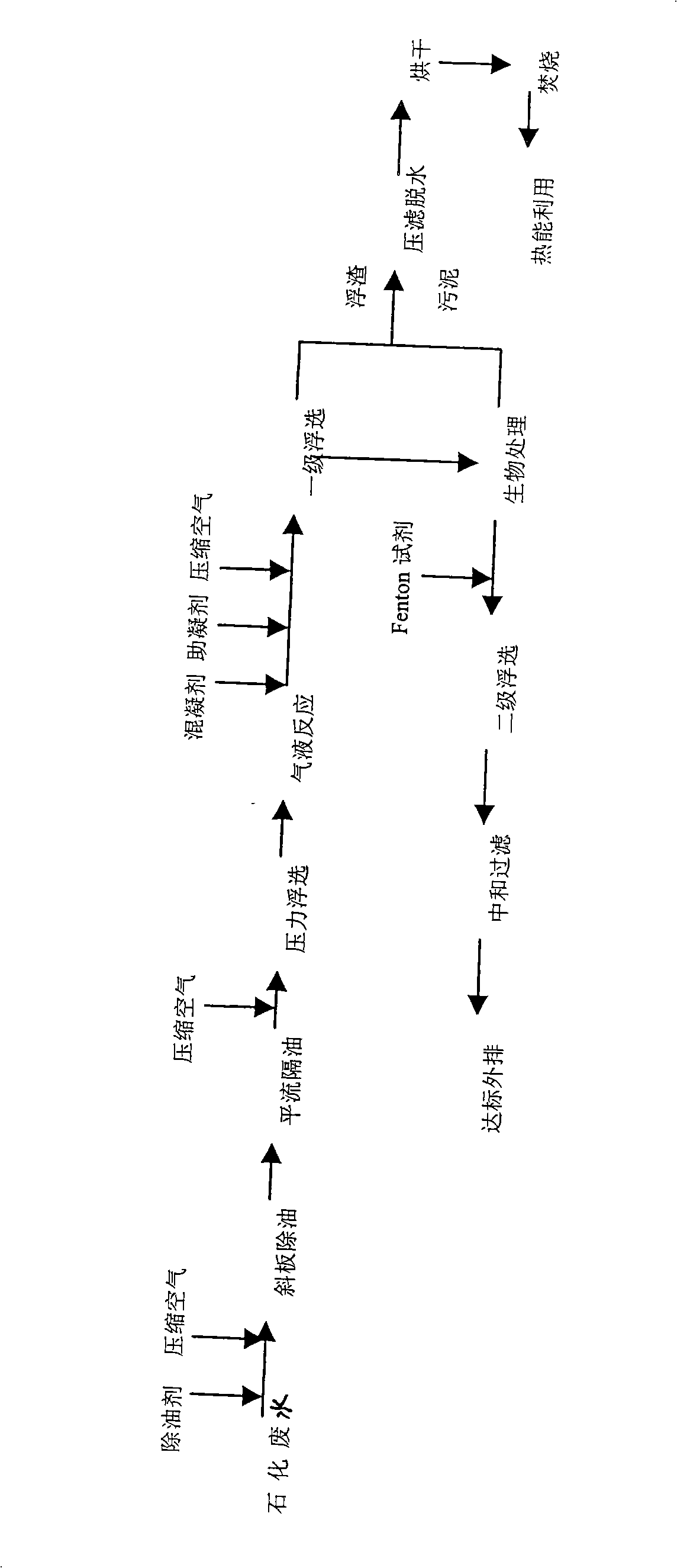 Petrified waste water treatment process