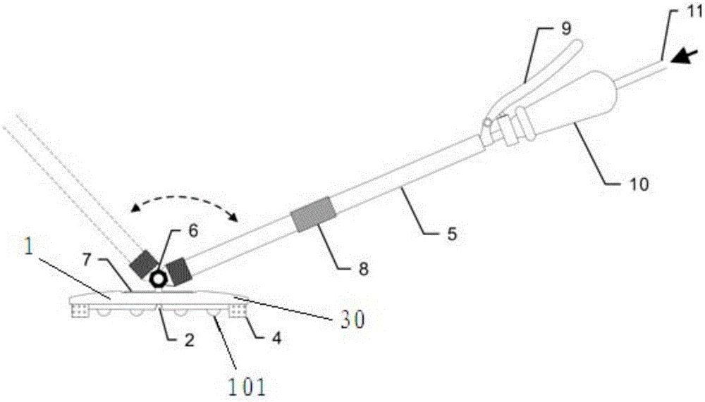 Handheld livestock disinfection and massage device