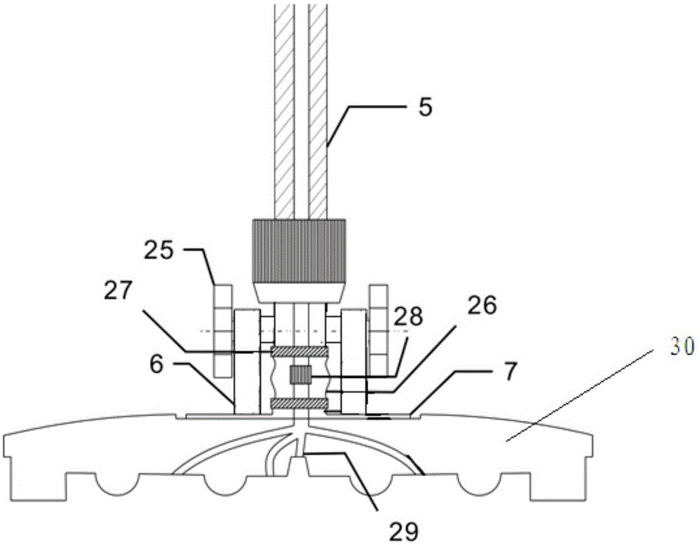 Handheld livestock disinfection and massage device