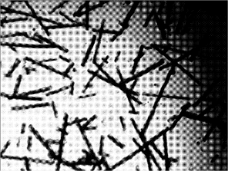 Sensitive material for flexible temperature sensor