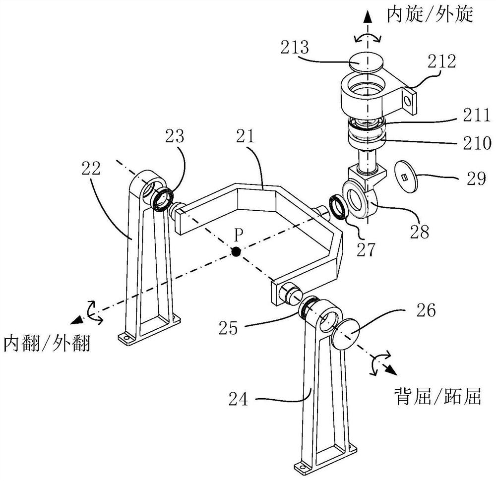 An exoskeleton robot ankle joint with three flexible drive branches