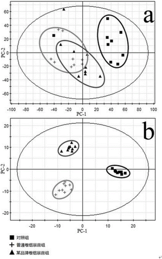 Test method for characterizing smoke exposure biological effect based on metabonomics