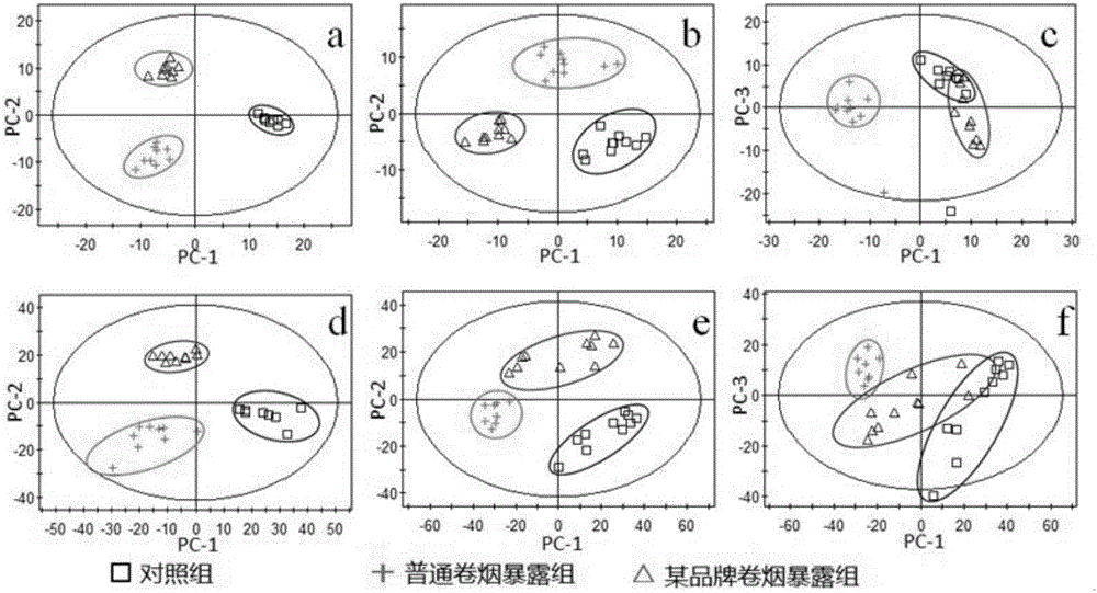 Test method for characterizing smoke exposure biological effect based on metabonomics