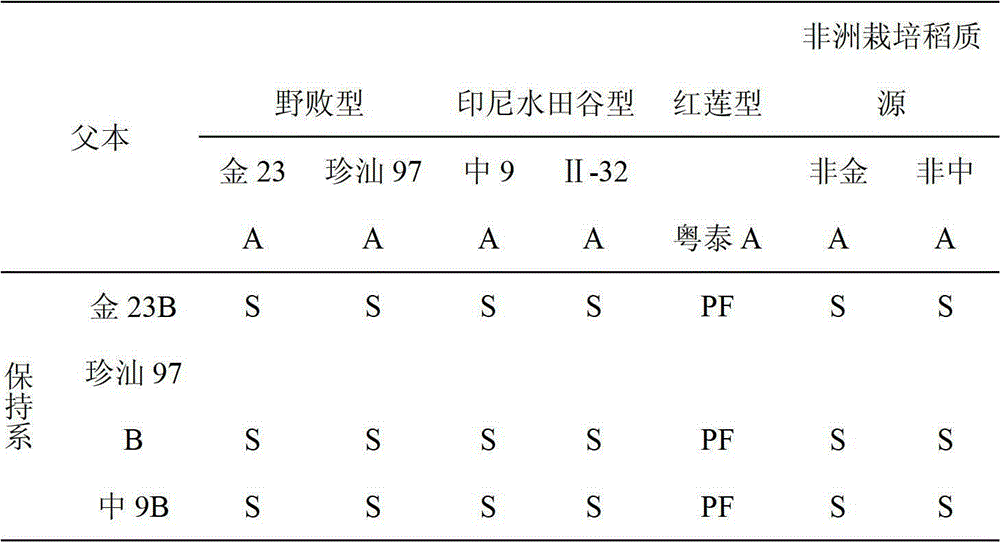 Breeding Method of Cytoplasmic Male Sterile Line of African Cultivated Rice