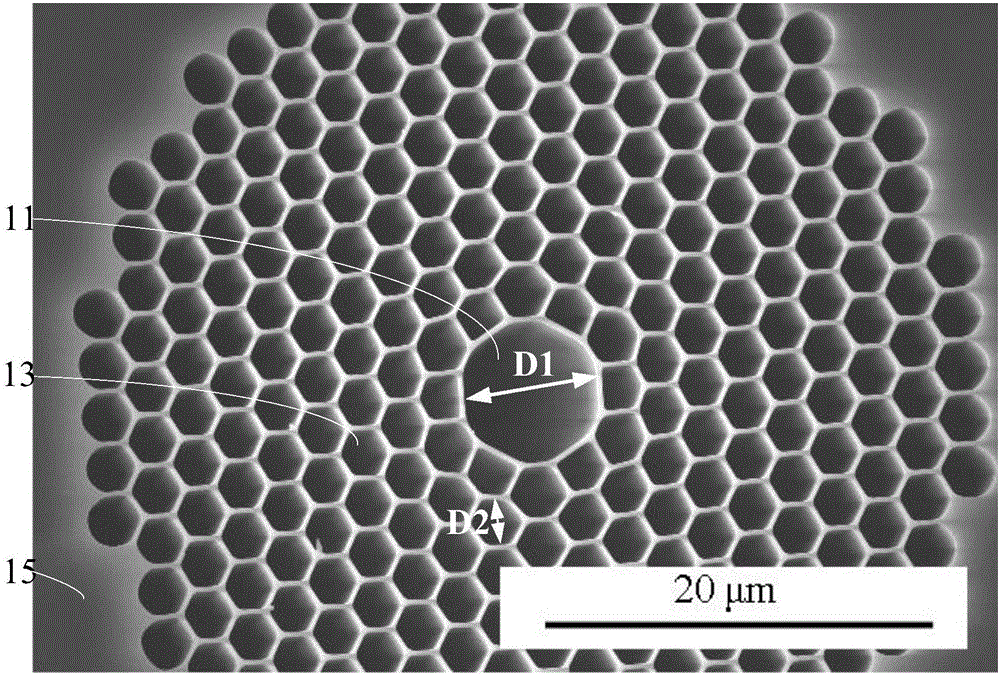 Terahertz time domain spectral radiation and detecting device