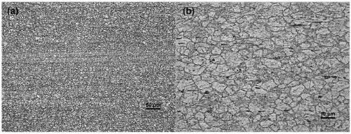 Low-cost, high-strength and high-toughness wrought magnesium alloy and preparation method thereof