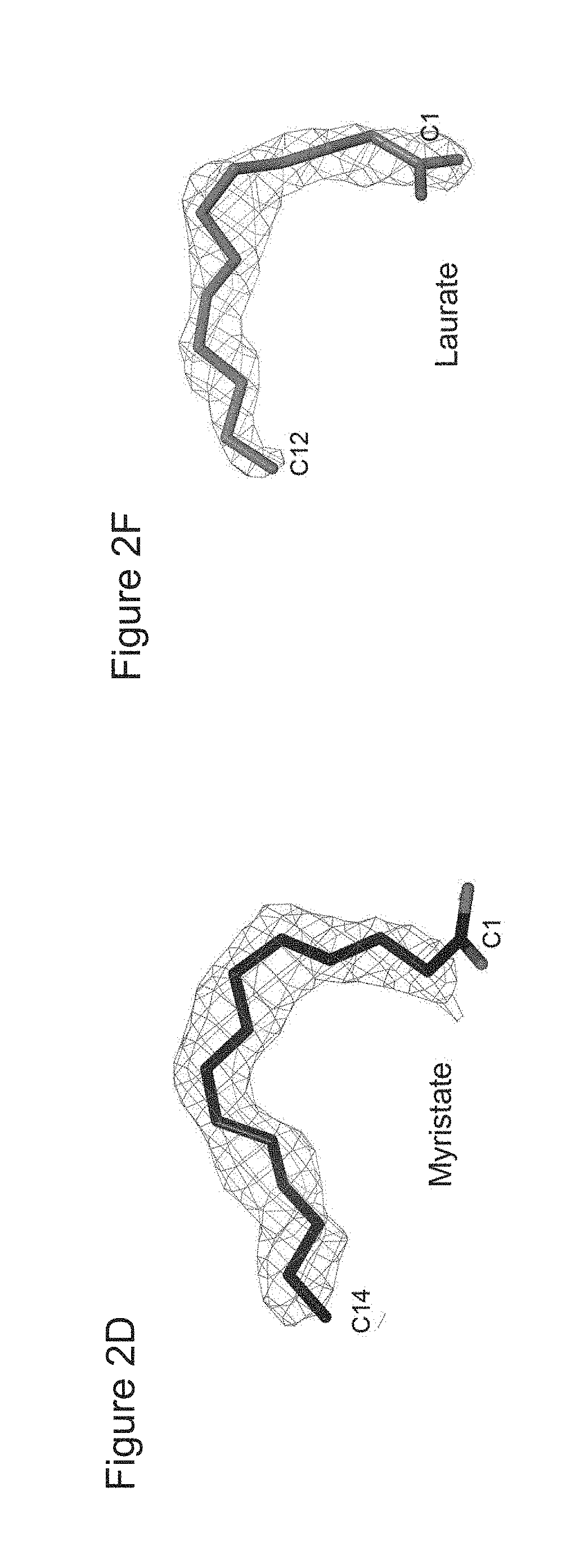 Method for significantly increasing lentiviral production