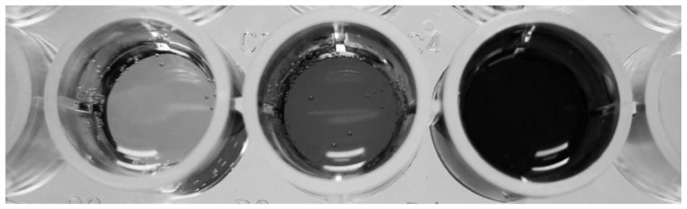 A kind of aldolase mutant and its coding gene and application