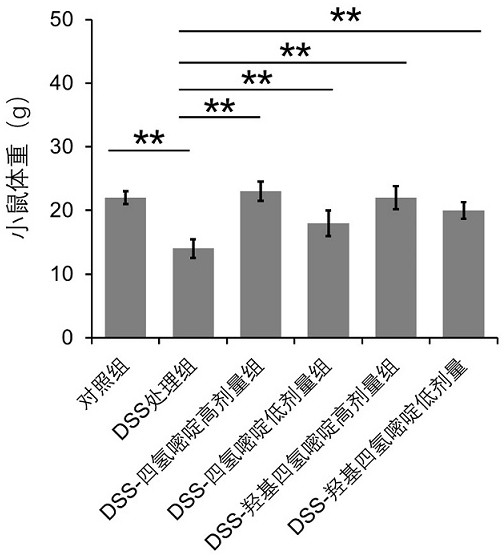 Application of tetrahydropyrimidine and derivatives thereof in prevention and/or treatment of intestinal diseases