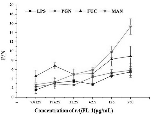 Apostichopus japonicus f-type lectin ajfl-1, preparation method and application