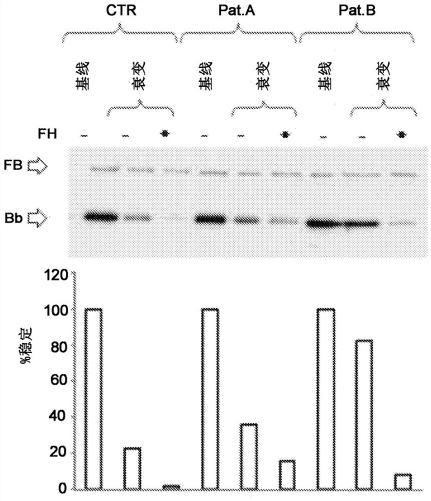 Method for the diagnosis of c3nef-mediated membranoproliferative glomerulonephritis