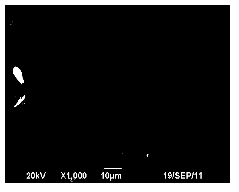 One-dimensional nanometer titania photocatalyst with mica serving as support and preparation method thereof