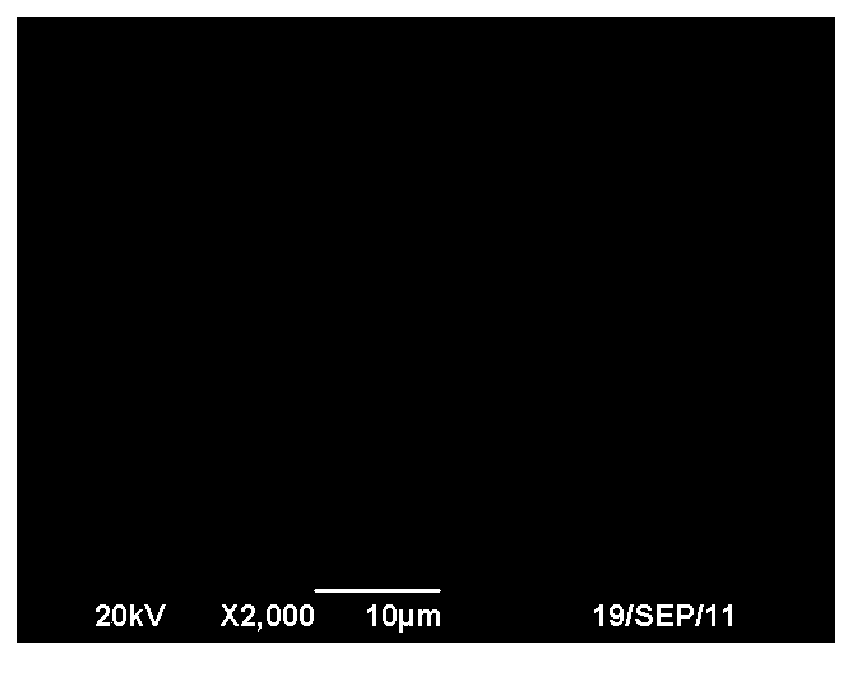 One-dimensional nanometer titania photocatalyst with mica serving as support and preparation method thereof