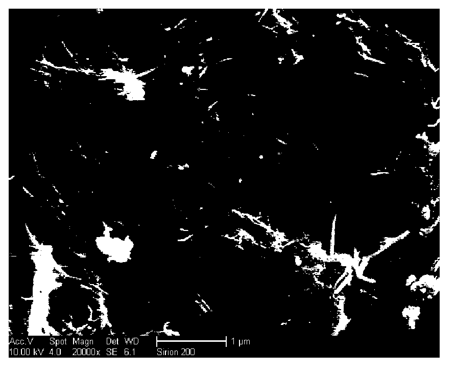 One-dimensional nanometer titania photocatalyst with mica serving as support and preparation method thereof