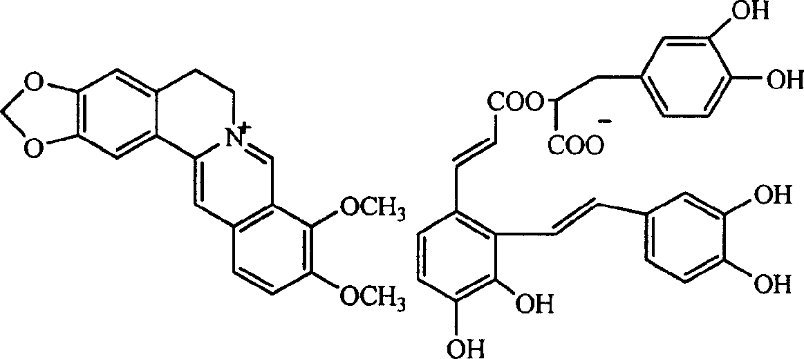 Salviolic acid berberine double salt, its preparation method and application