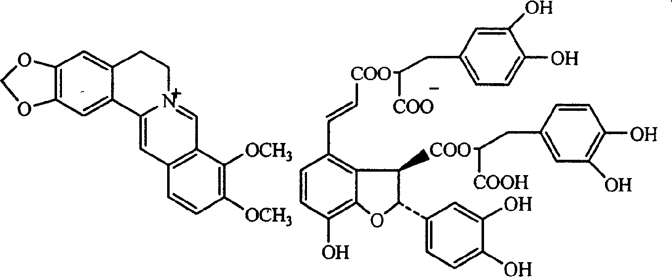 Salviolic acid berberine double salt, its preparation method and application