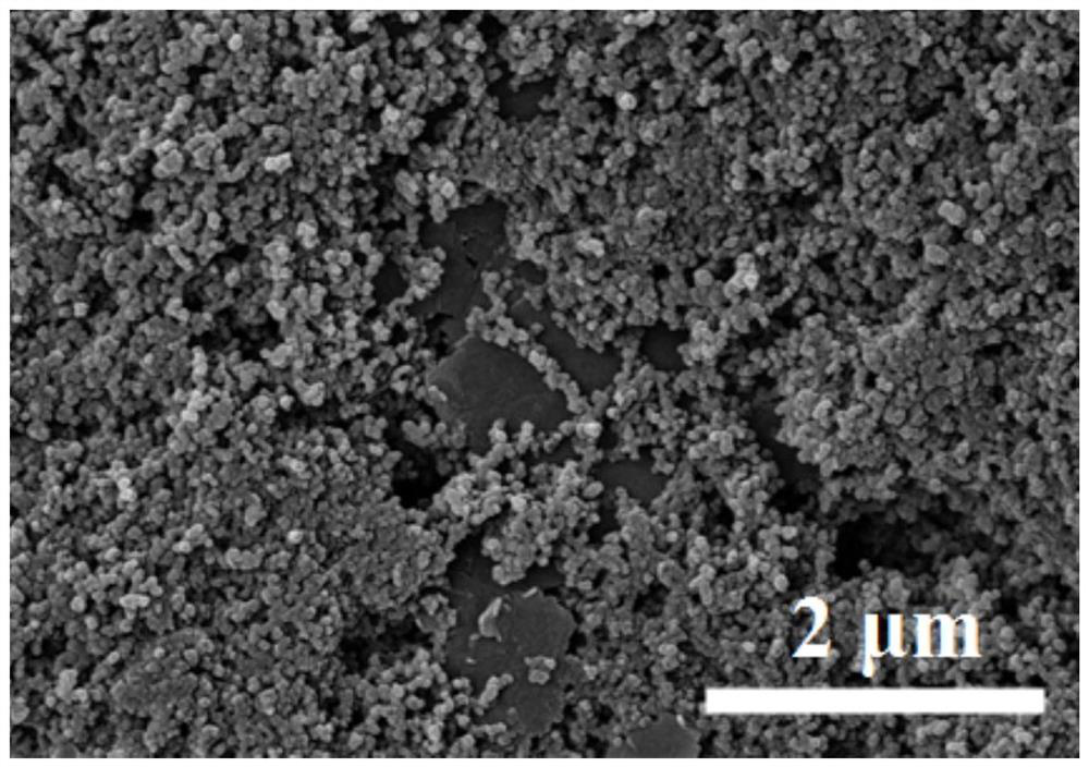 Multifunctional diaphragm of lithium-sulfur battery and preparation method of multifunctional diaphragm