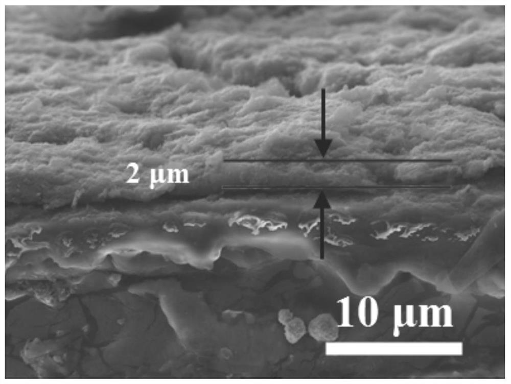 Multifunctional diaphragm of lithium-sulfur battery and preparation method of multifunctional diaphragm