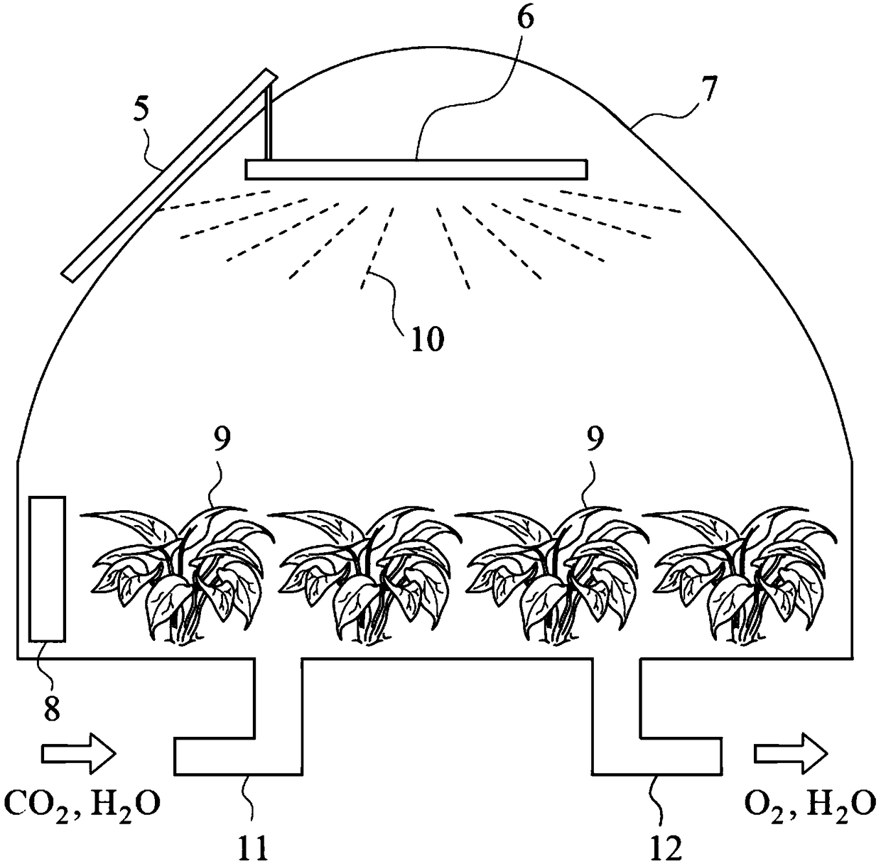 Negative carbon emission system and method thereof