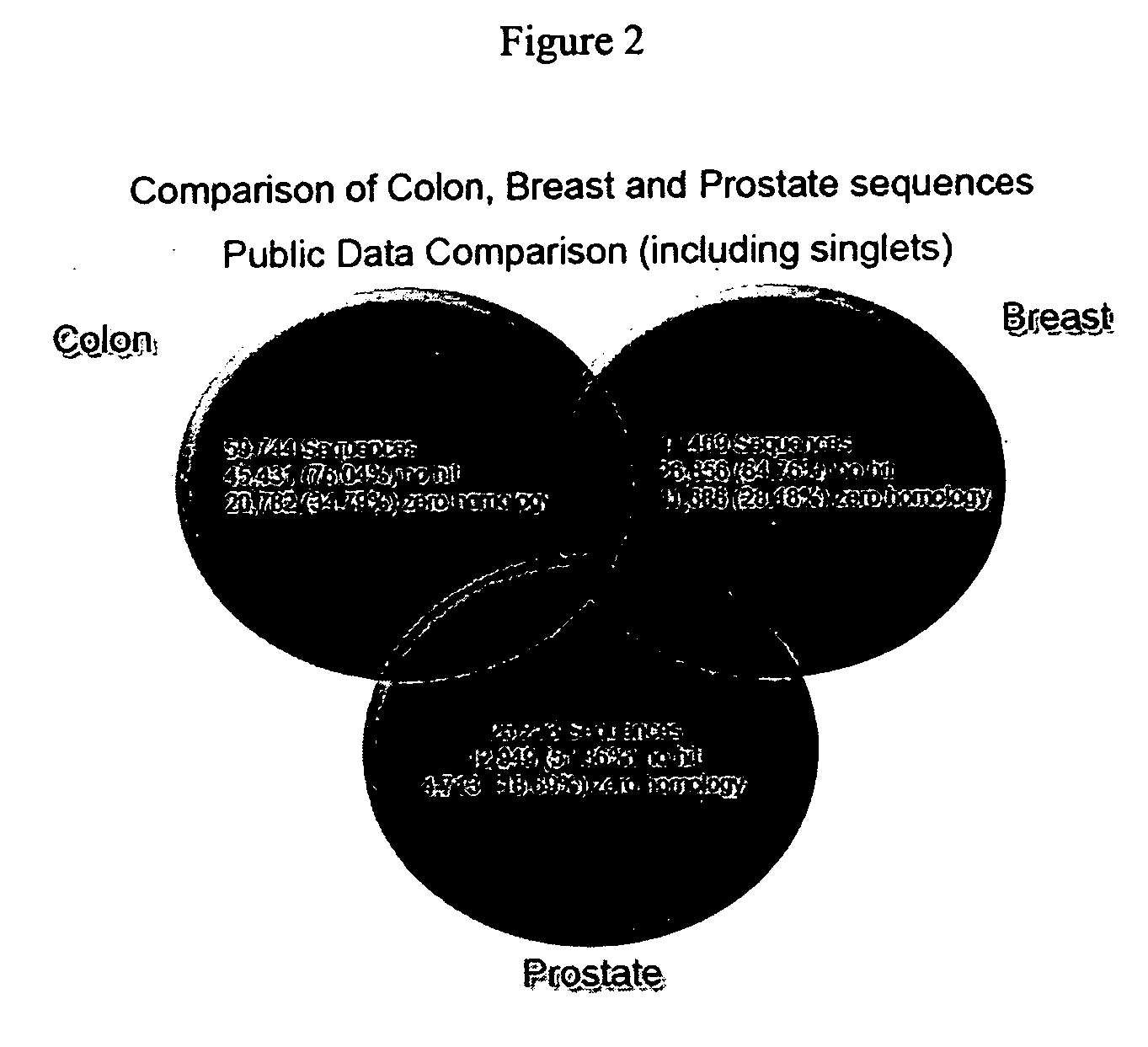 Transcriptome microarray technology and methods of using the same