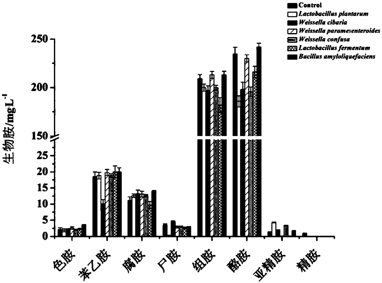 Novel multicopper oxidase and application thereof to biogenic amine degradation