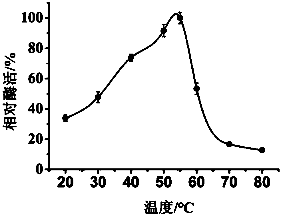 Novel multicopper oxidase and application thereof to biogenic amine degradation