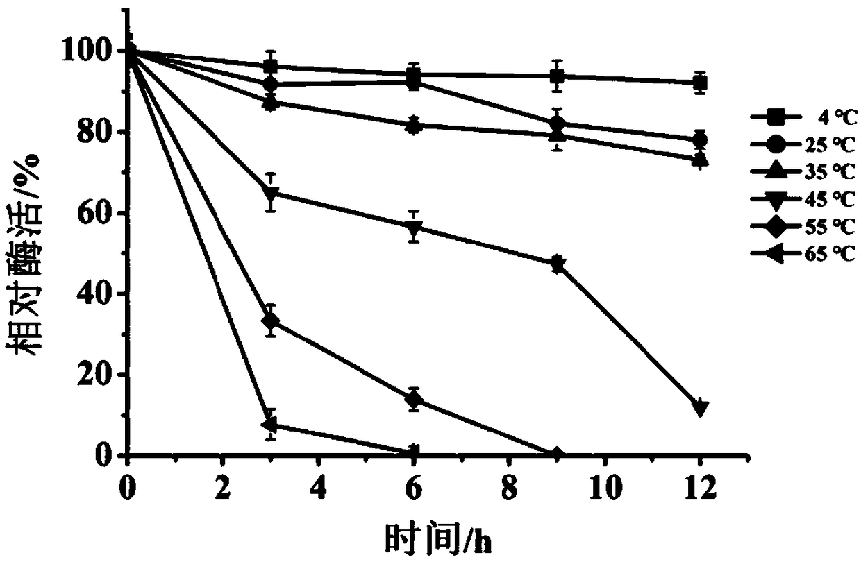 Novel multicopper oxidase and application thereof to biogenic amine degradation