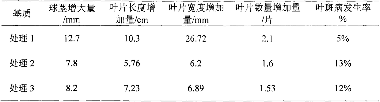 Special matrix for hippeastrum bulb production and preparation method of special matrix for hippeastrum bulb production