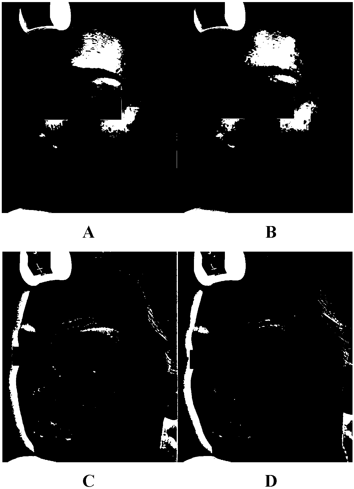 Submicron emulsion repairing stock solution composition and preparation method thereof as well as cosmetic composition containing submicron emulsion repairing stock solution composition