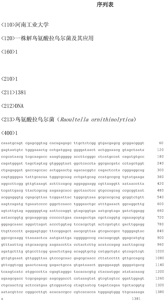 A strain of Raoult ornithinolyticum and its application