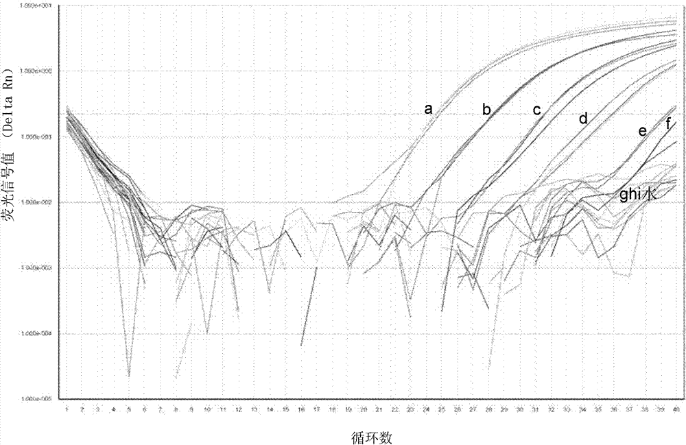 Real-time fluorescent quantitative PCR method used for detecting Mycobacterium tuberculosis, and primer, probe and kit thereof