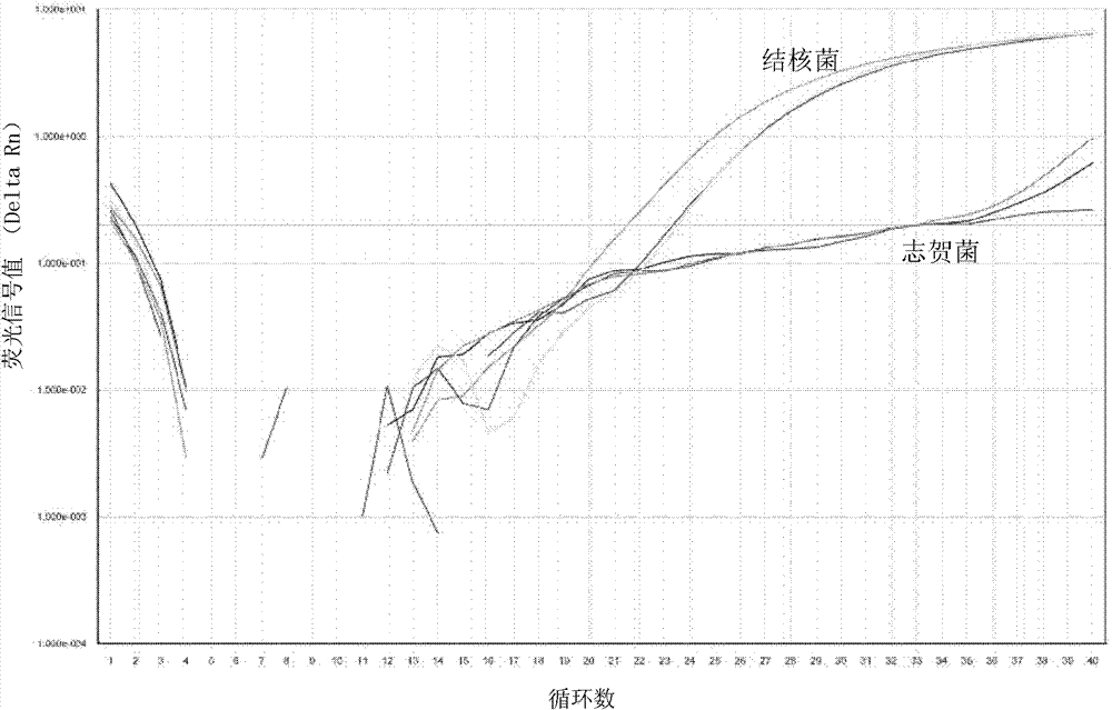 Real-time fluorescent quantitative PCR method used for detecting Mycobacterium tuberculosis, and primer, probe and kit thereof