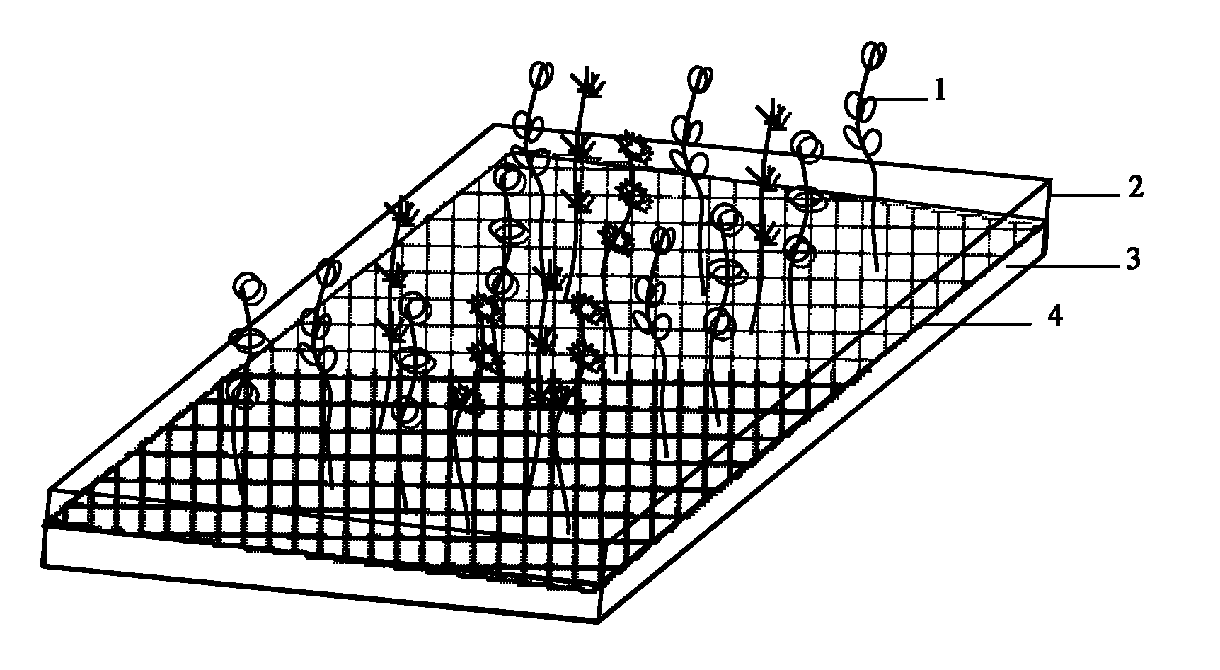 Preparation method of submerged vegetation patch