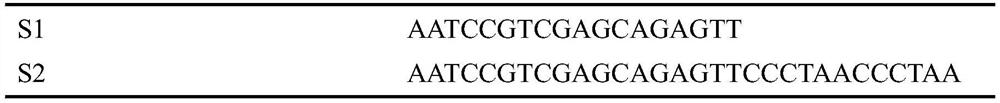 Method for detecting activity of telomerase