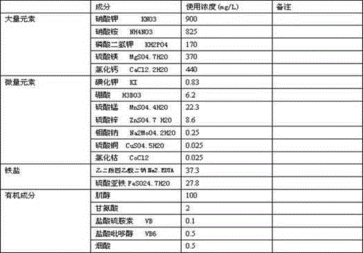 Double cherry tissue culture propagation method