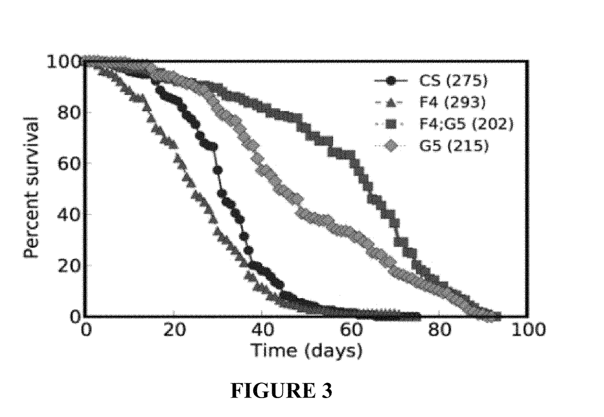 SnoRNA, compositions and uses