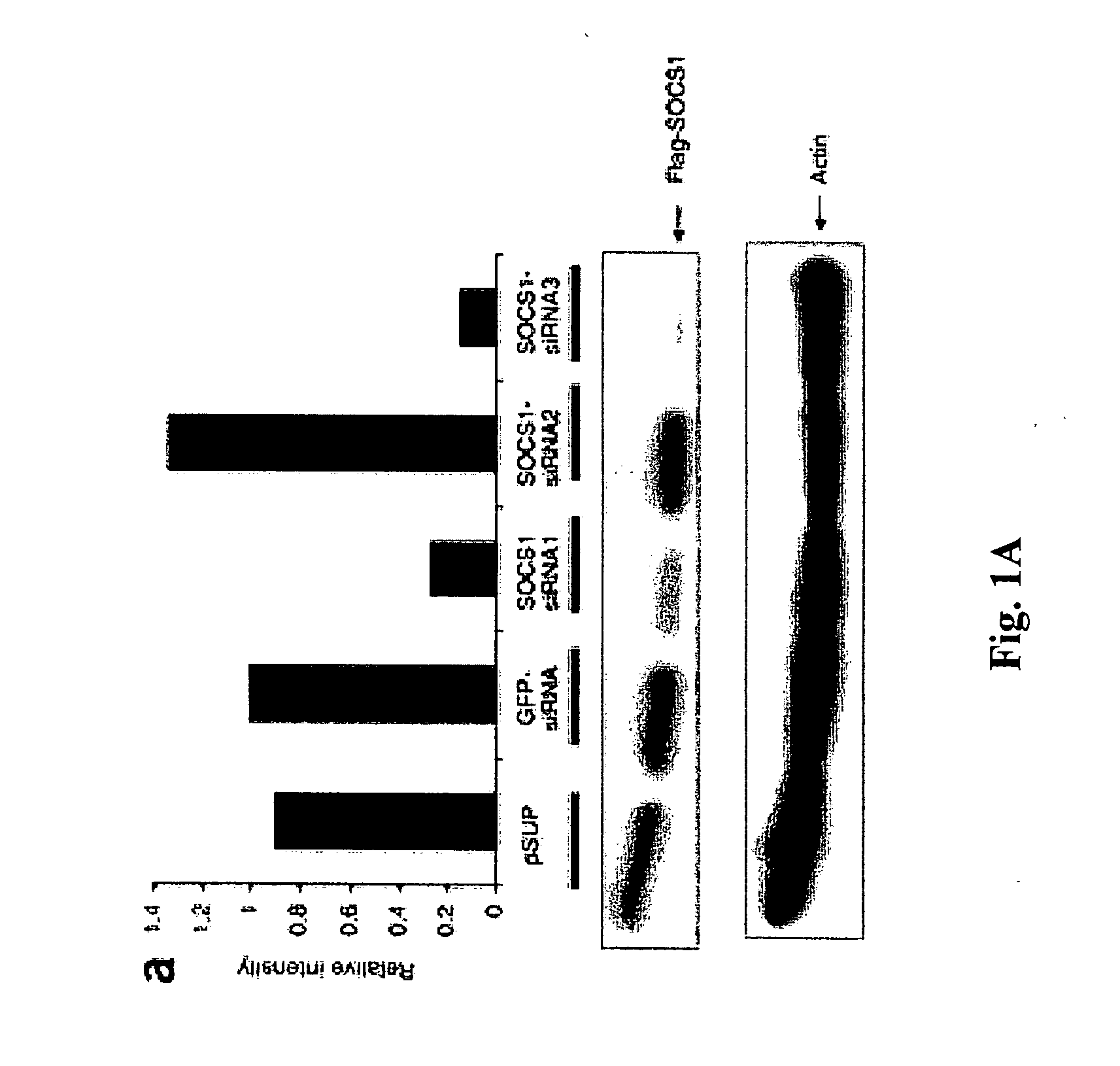 Modulation of cytokine signaling regulators and applications for immunotherapy