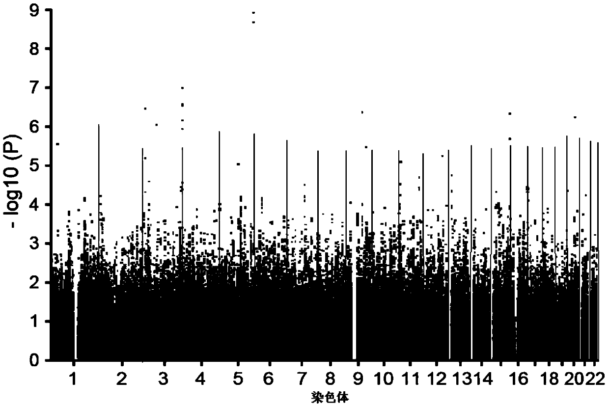 Thsd7a gene sequence and expression change detection and its application in the prediction of coronary heart disease