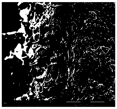 Preparation method of corrosion-resistant double coatings of improved sintered Nd-Fe-B magnet