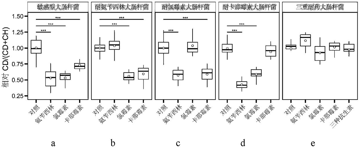 Raman spectroscopy-heavy water isotope labeling based rapid detection method for drug susceptibility of drug-resistant bacteria and judgment method for rational drug use