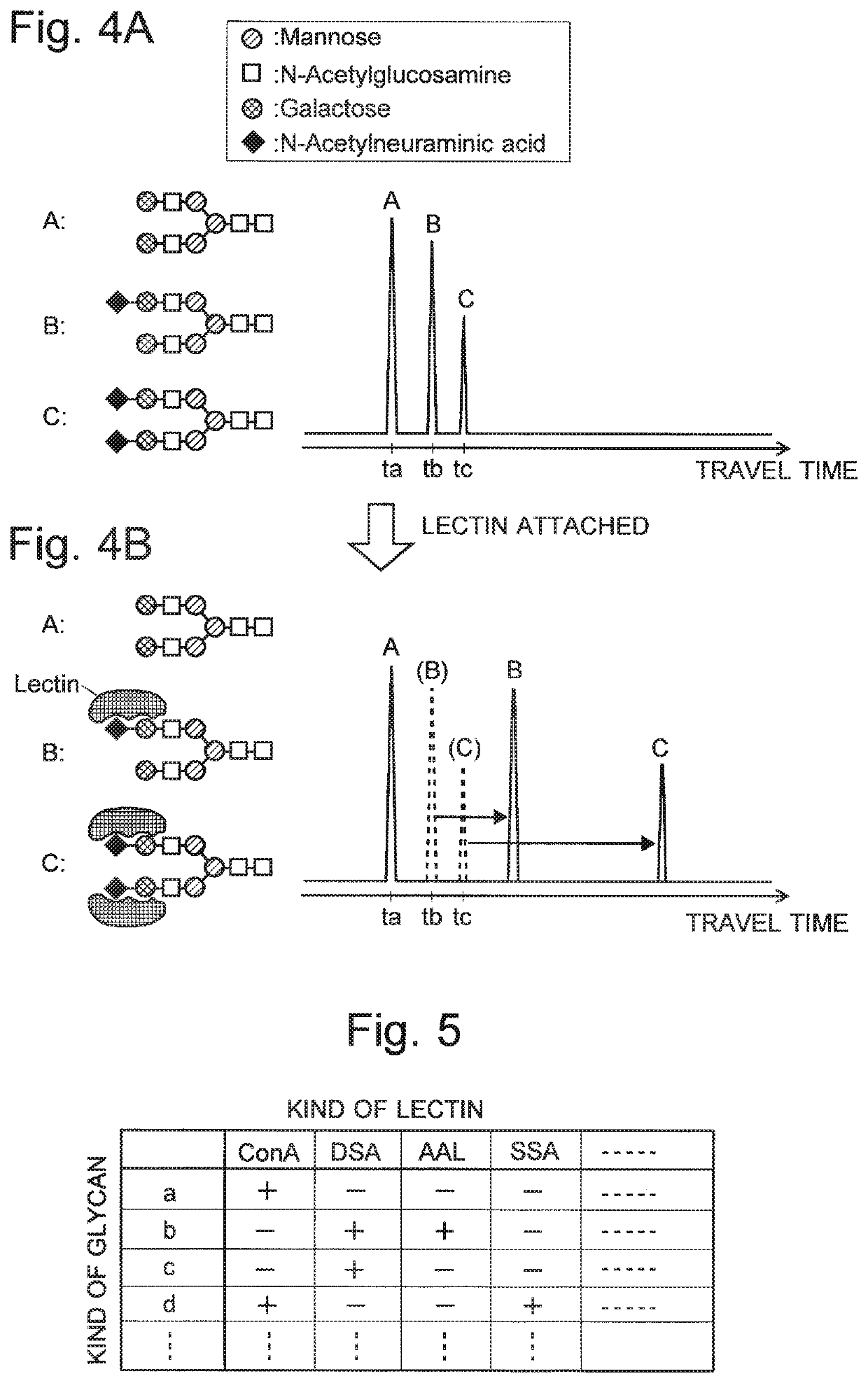 Glycan analysis method, glycan analysis system, program for glycan analysis, and kit for glycan analysis