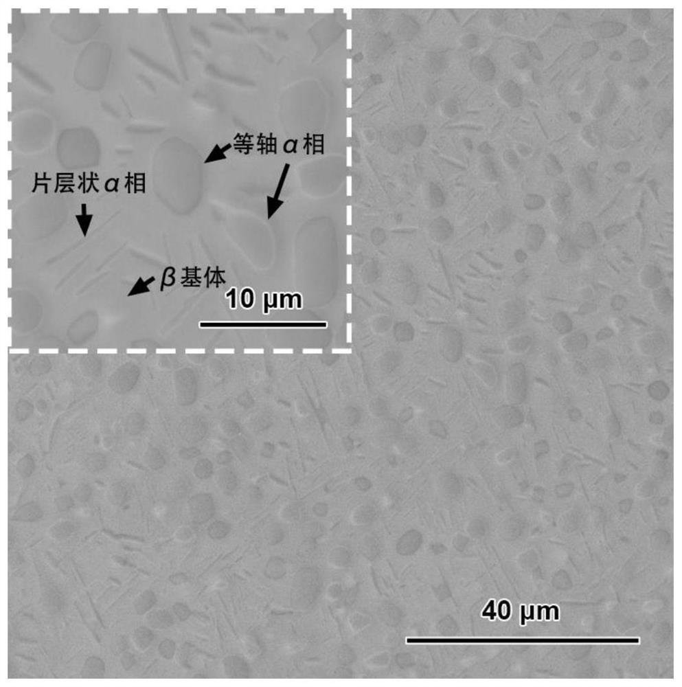 Low-cost high-strength near-beta-Ti alloy and preparation method thereof