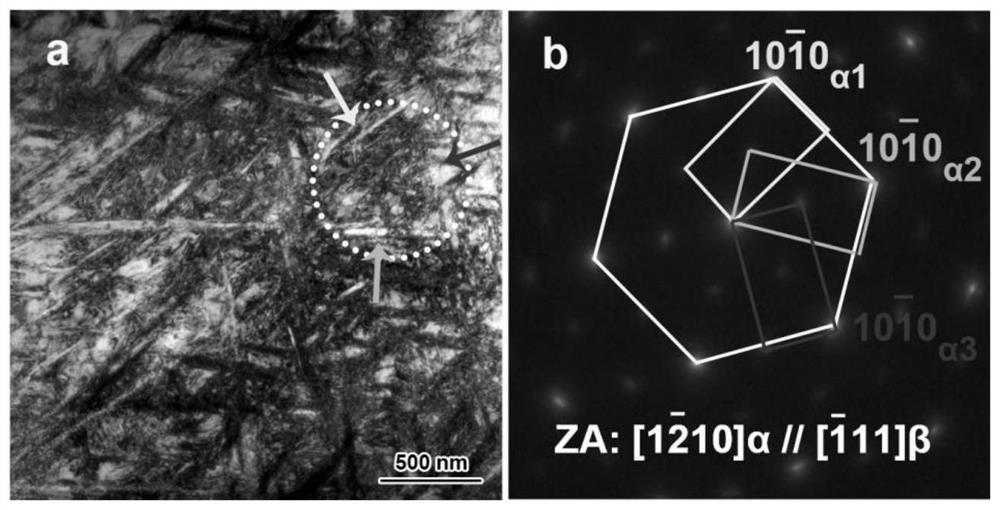 Low-cost high-strength near-beta-Ti alloy and preparation method thereof