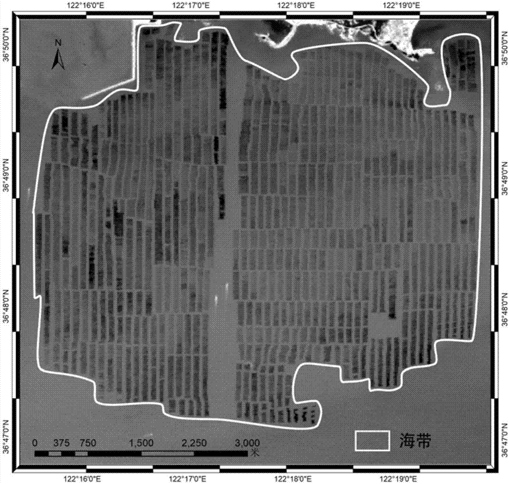 Luminaria culture area monitoring method integrating remote sensing image and longline information